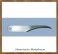 proedge 40105 wood carving blade a.jpg